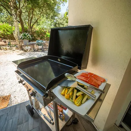 La Coucou ヴィラ ニーム