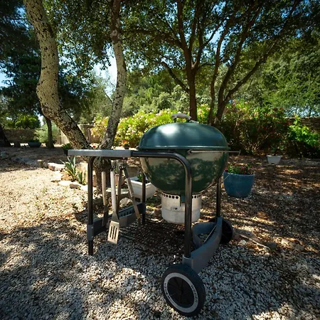 ヴィラ La Coucou ニーム