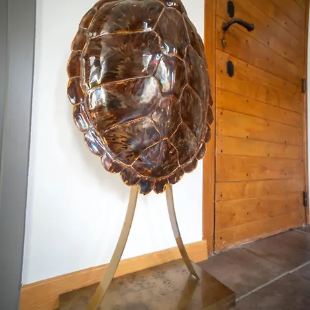 ヴィラ La Coucou ニーム